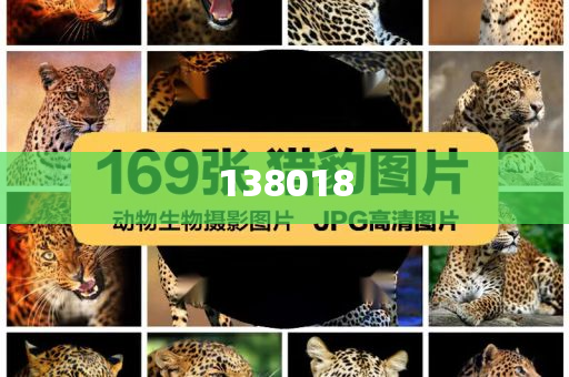 發(fā)改委將實(shí)施育兒補(bǔ)貼制度全面釋義、解釋與落實(shí)與警惕虛假宣傳-全面釋義、解釋與落實(shí)-嚴(yán)防消費(fèi)陷阱