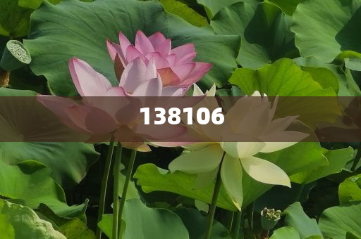 國家電網(wǎng)Q1固定資產(chǎn)投資增長全面釋義、解釋與落實(shí)與警惕虛假宣傳-全面釋義、解釋與落實(shí),識(shí)別虛假的面具
