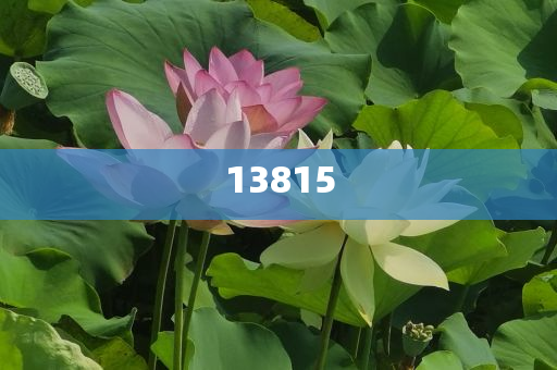 zhangyanan 第102页