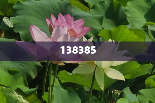 美國務(wù)院批準(zhǔn)向科威特出售“愛國者”導(dǎo)彈系統(tǒng)|界面新聞 · 快訊