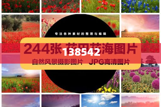 印度宣布对巴基斯坦航班关闭领空,全面释义、解释与落实与警惕虚假宣传-全面释义、解释与落实-留心虚假推广危害