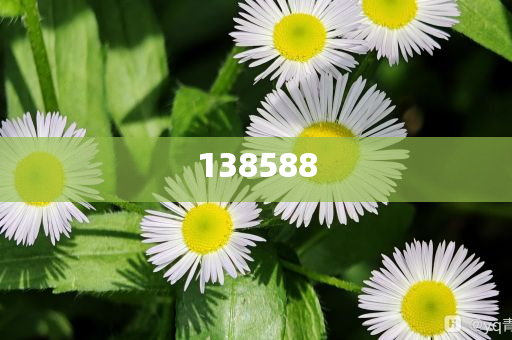 7777788888精準(zhǔn)免費(fèi)4肖精選解析、解釋與落實(shí)與警惕虛假宣傳-精選解析、解釋與落實(shí)-拒絕欺騙性承諾