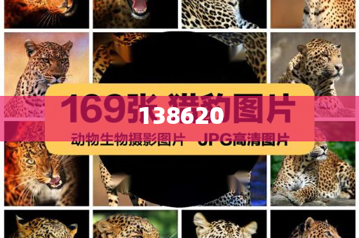 张新成疑似回应分手和远离虚假的假承诺牌-全面释义、解释与落实与警惕虚假宣传-全面释义、解释与落实