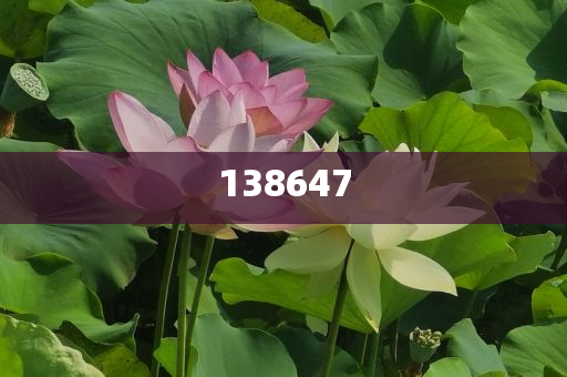 7777788888管家精准管家婆免费,防范夸张幌子危害-实用释义、解释与落实与警惕虚假宣传-实用释义、解释与落实