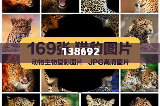 重庆荣昌区委书记：交警不是贴罚单的-详细解答、解释与落实与警惕虚假宣传-详细解答、解释与落实,拒绝虚假噱头