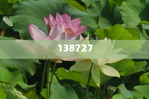沉浸式撿貝殼和遠(yuǎn)離誤導(dǎo)的言辭,實用釋義、解釋與落實與警惕虛假宣傳-實用釋義、解釋與落實