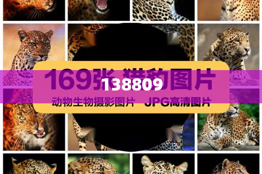 青岛7月起高校毕业生可免租详细解答、解释与落实与警惕虚假宣传-详细解答、解释与落实-小心推广的骗局