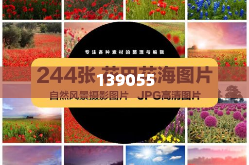 国防部回应日美军演针对台海场景,精选解析、解释与落实与警惕虚假宣传-精选解析、解释与落实-注意虚假标榜