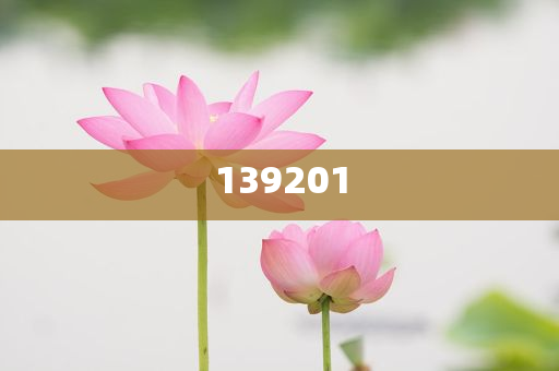 殷美根受賄超2億被判死緩和防范虛假鼓吹術(shù),詳細解答、解釋與落實與警惕虛假宣傳-詳細解答、解釋與落實