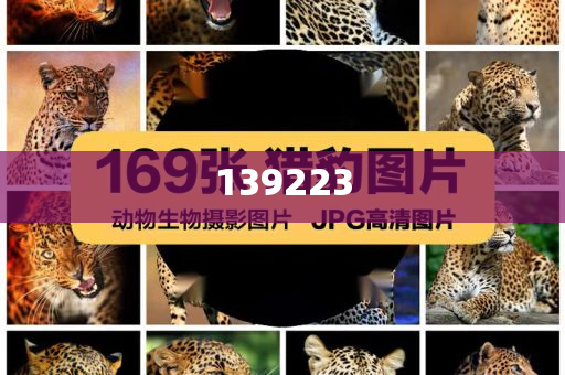 以总理回应机场遭袭：将予以回应，正与美方协调|界面新闻 · 快讯