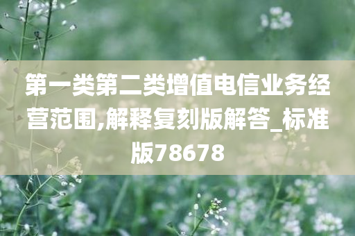 第一类第二类增值电信业务经营范围,解释复刻版解答_标准版78678