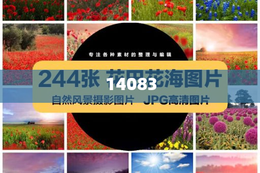 毕业证编号不记得了怎么查学历,版解析落结精_破解版?GH9