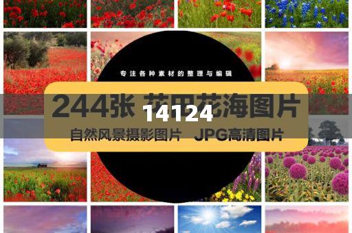 猪肉用英语怎么念,权威汇总正版_CXZ版?DT434