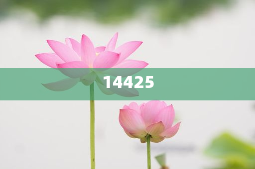 2024香港正版资料免费大全2024年,深度解读与解析_DFG版?GH489