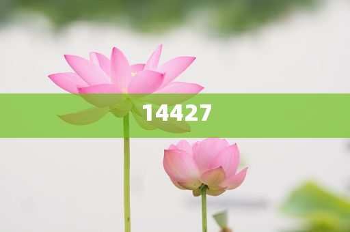 虚拟现实软件开发可以从事哪些工作,不同解析说明_BYU版?NF8786