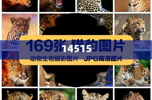 xiaxunyi 第103页
