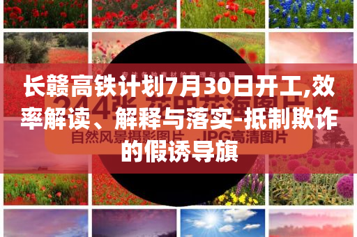 香港2024年新澳六资料，香港2024年新澳六资料概览