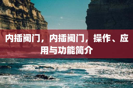 内插阀门，内插阀门，操作、应用与功能简介