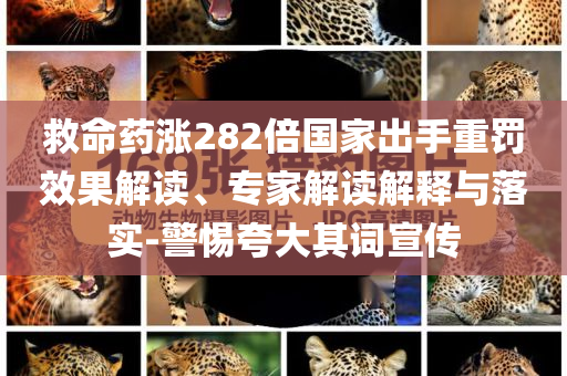 香港免费资料大全正版官网，香港正版免费资料大全官网概览