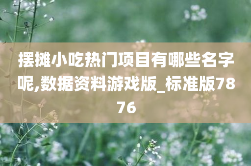 摆摊小吃热门项目有哪些名字呢,数据资料游戏版_标准版7876