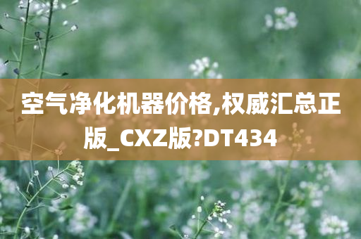 空气净化机器价格,权威汇总正版_CXZ版?DT434
