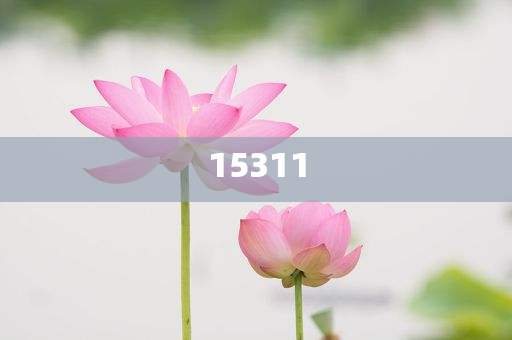 信息技术类课程,分析深度最新_DG版?JJ555