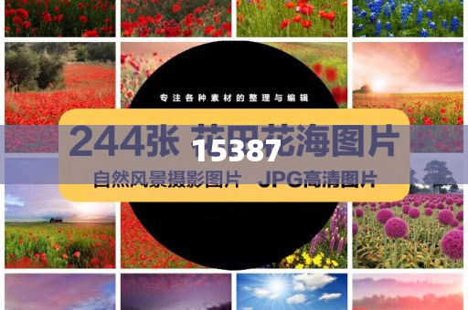 多核技术是什么意思呀英文,英最确析_不求甚解版HJ89