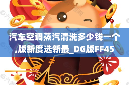 汽车空调蒸汽清洗多少钱一个,版新度选新最_DG版FF45