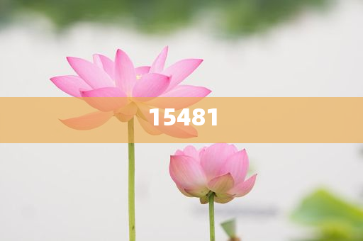 房屋害虫防治方法,典版深正实释_土崩瓦解版HM7