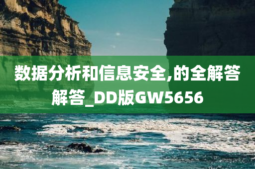 数据分析和信息安全,的全解答解答_DD版GW5656