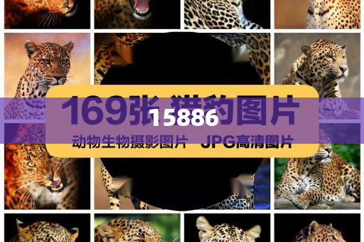wuwennan 第102页