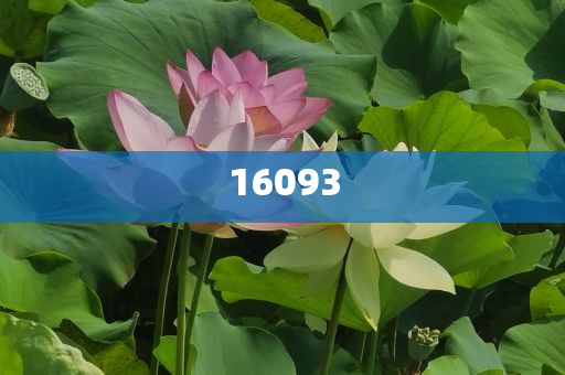 yanghuiwen 第105页