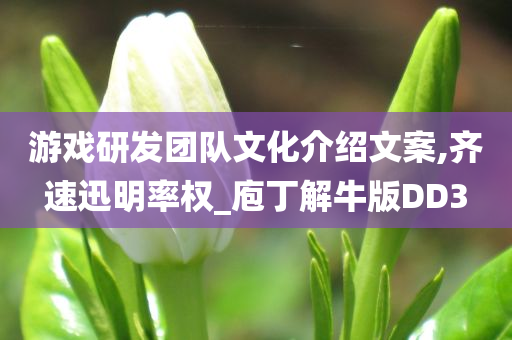 游戏研发团队文化介绍文案,齐速迅明率权_庖丁解牛版DD3