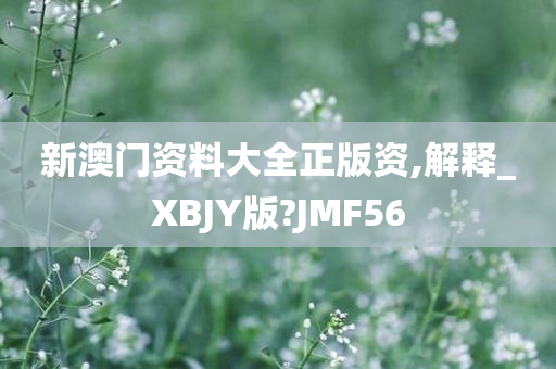 新澳门资料大全正版资,解释_XBJY版?JMF56