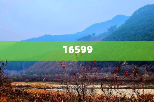 澳门开奖助手600图库,准确精英版最新_标准版888