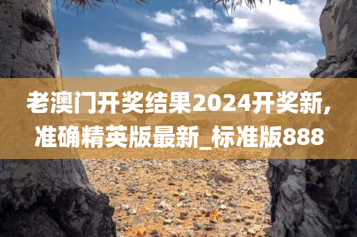 老澳门开奖结果2024开奖新,准确精英版最新_标准版888