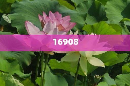 chenxinyao 第102页