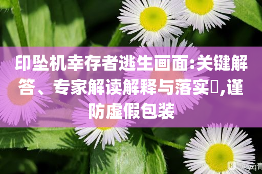 香港特马王资料提供澳门，香港特马王资料涉嫌违法犯罪行为，警惕风险，切勿涉及博彩陷阱！
