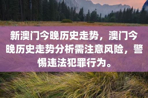 新澳门今晚历史走势，澳门今晚历史走势分析需注意风险，警惕违法犯罪行为。