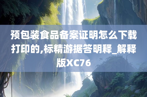 预包装食品备案证明怎么下载打印的,标精游据答明释_解释版XC76