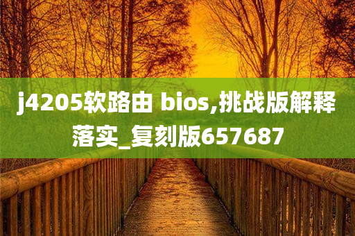 j4205软路由 bios,挑战版解释落实_复刻版657687