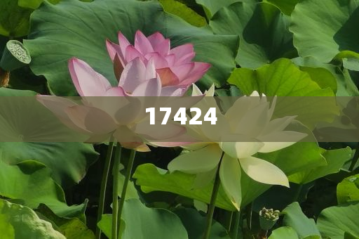 船舶清洗不让用人工了怎么办,结构解答解释落实_CXZS版?GH9