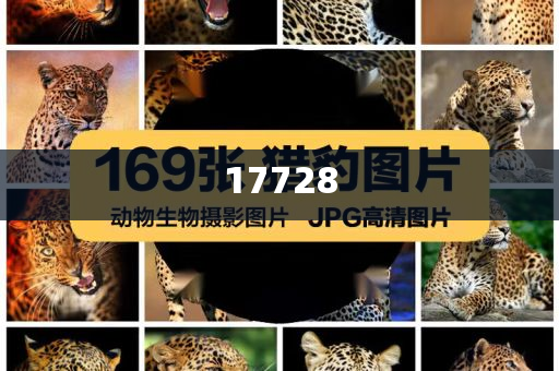 计算机行业税收优惠,精选动态分析_NDW版?GG756