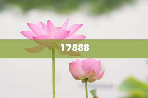 chenjiayi 第103页