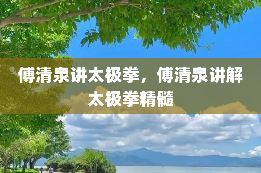 傅清泉讲太极拳，傅清泉讲解太极拳精髓