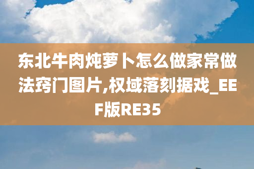 东北牛肉炖萝卜怎么做家常做法窍门图片,权域落刻据戏_EEF版RE35