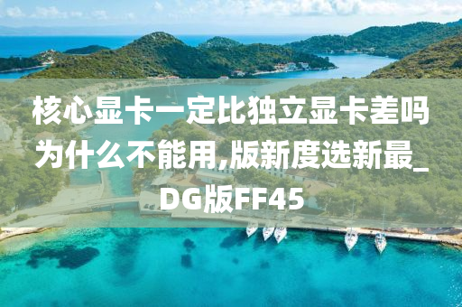 核心显卡一定比独立显卡差吗为什么不能用,版新度选新最_DG版FF45