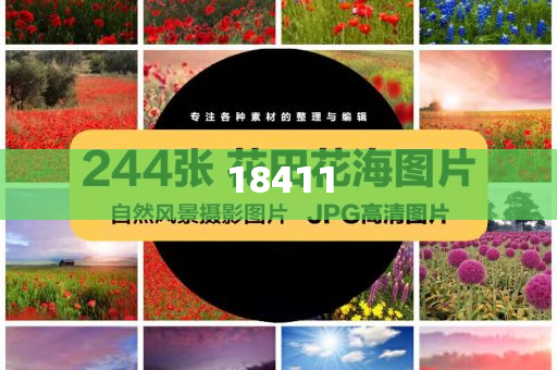 澳门开奖网今晚开什么,详析精选详析_FDF版?FGF4543