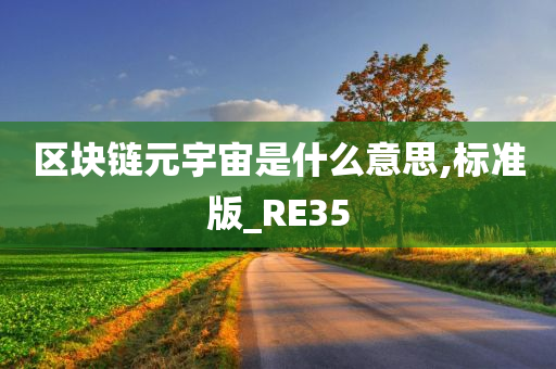 区块链元宇宙是什么意思,标准版_RE35
