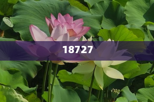 wuwennan 第99页